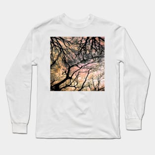 Trees #13b Long Sleeve T-Shirt